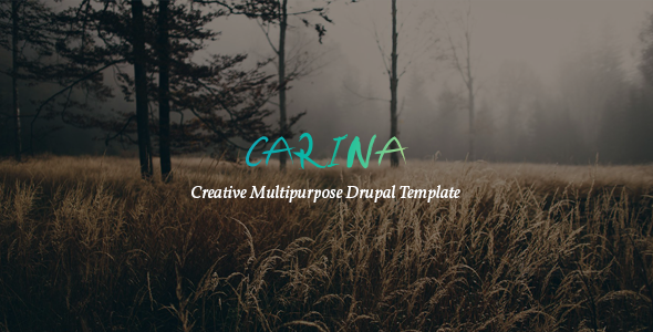 Carina v1.0 - Creative Multipurpose Drupal 8 Template Carina v1.0 - Creative Multipurpose Drupal 8 Template